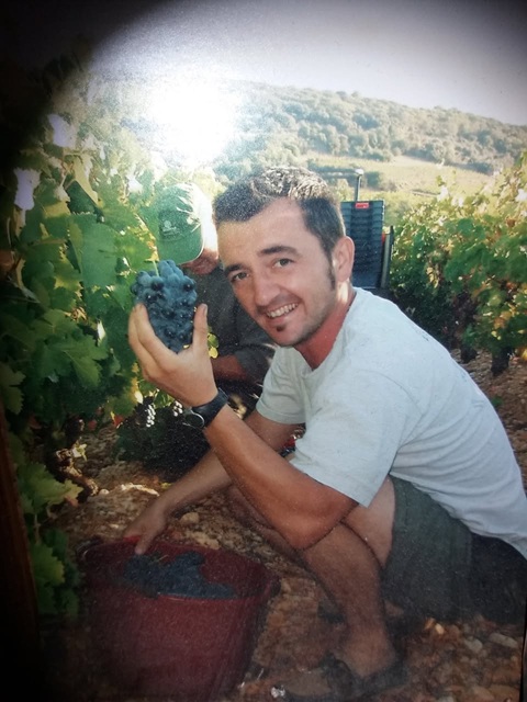 Vigneron David
