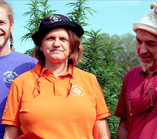 Weedling’s Finest – producteurs des fleurs de chanvre